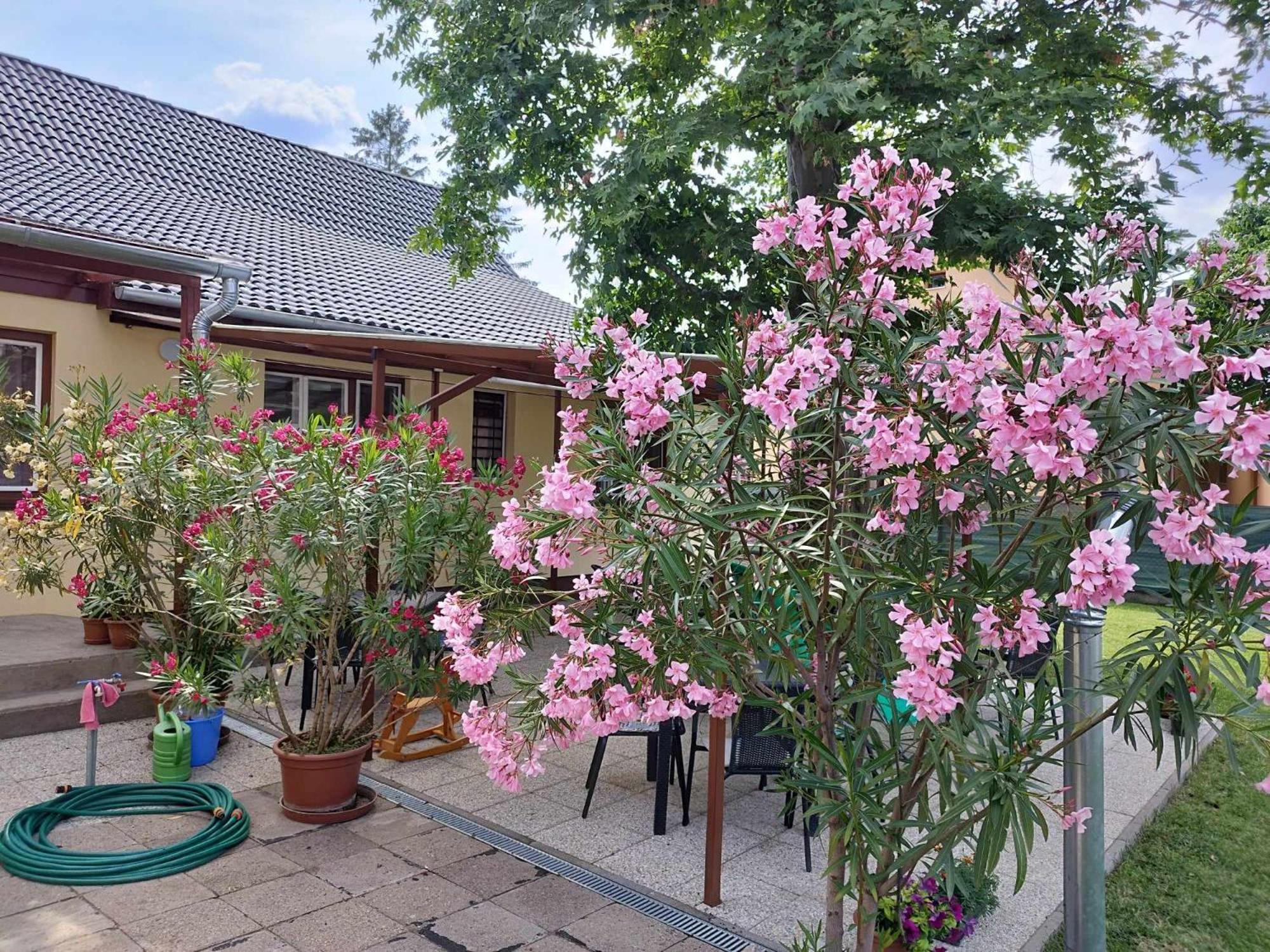 Tartos Szegfu Vendeghaz, Maganszallas Tazlar Exterior photo