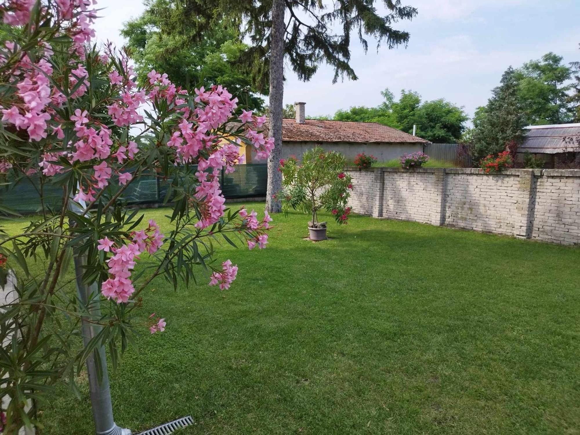 Tartos Szegfu Vendeghaz, Maganszallas Tazlar Exterior photo